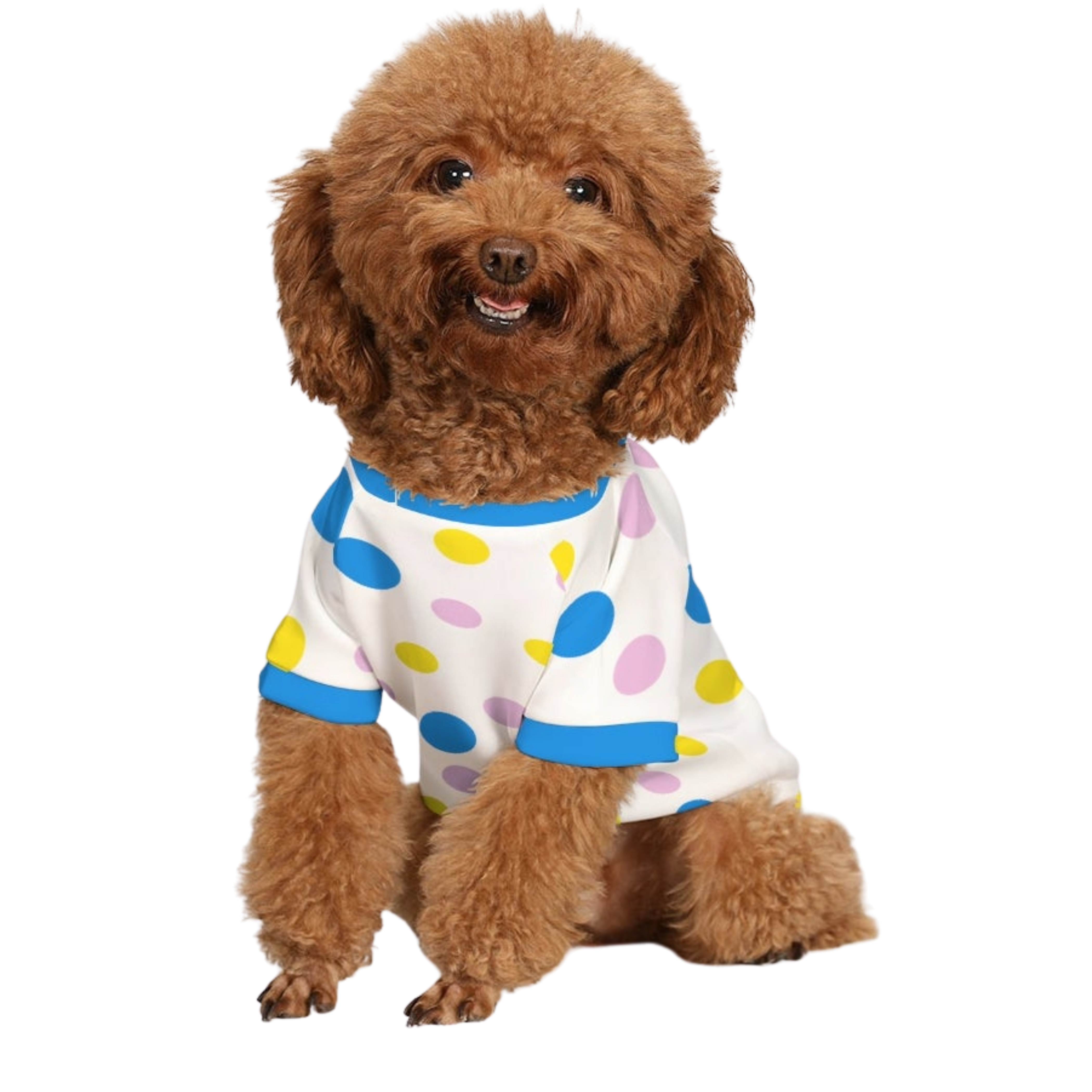 Circus Fun Doggie Tee