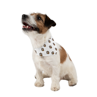Dog's Best Friend Pet Bandana Collar